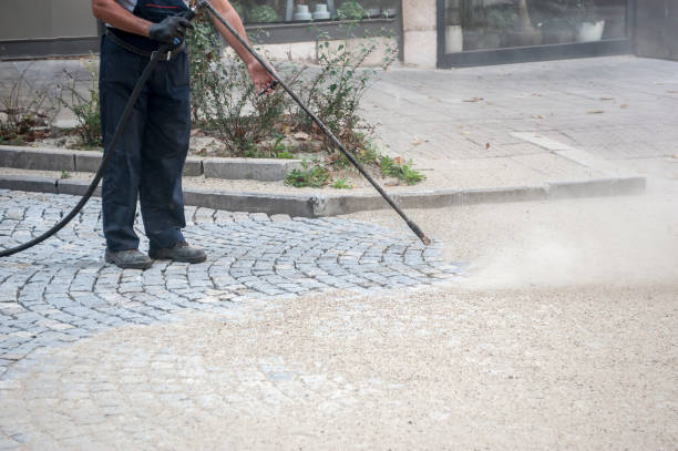 Best Fence Cleaning and Maintenance in Ivanhoe, TX