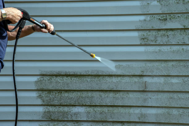 Best Graffiti Removal Services in Ivanhoe, TX
